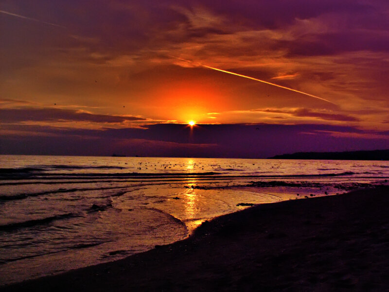 Sunset over Ocean — Orange, Dramatic, Photograph, Sun, Clouds, Beach, Birds
