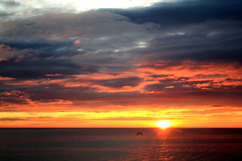 Sunset over Ocean — Orange, Dramatic, Photograph, Sun, Clouds, Bird