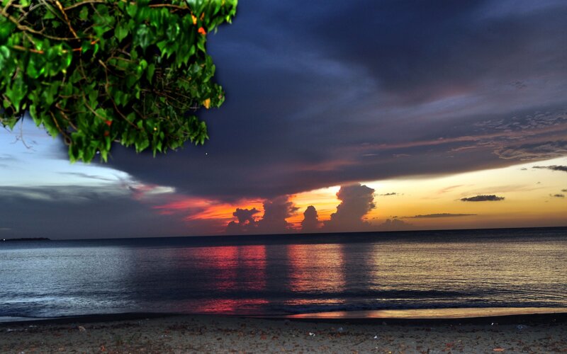 Sunset over Ocean — Orange, Dramatic, Photograph, Tree Branches