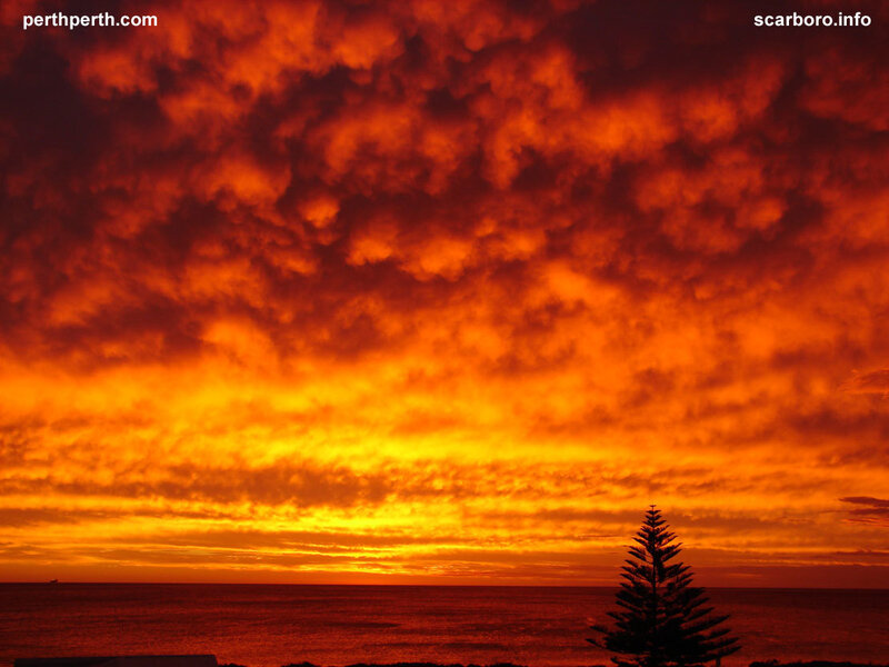Sunset over Ocean — Orange, Dramatic, Photograph, Tree, Clouds, Red