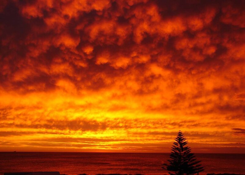 Sunset over Ocean — Orange, Dramatic, Photograph, Tree, Clouds
