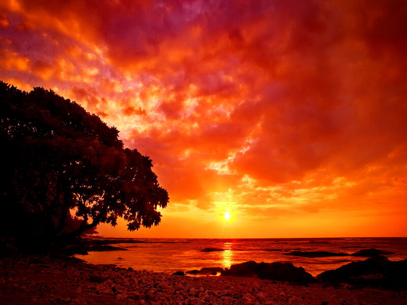 Sunset over Ocean — Orange, Dramatic, Photograph, Tree, Rocks