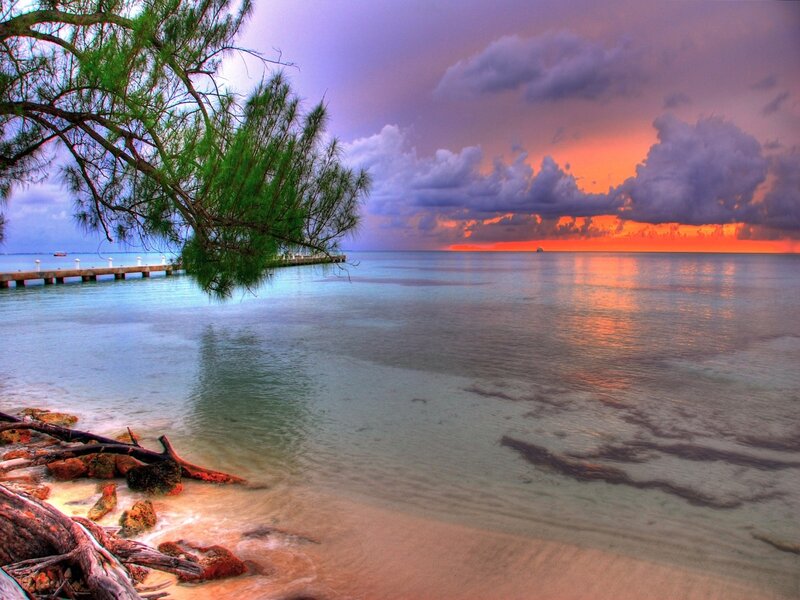 Sunset over Ocean — Orange, Dramatic, Photograph, Tree