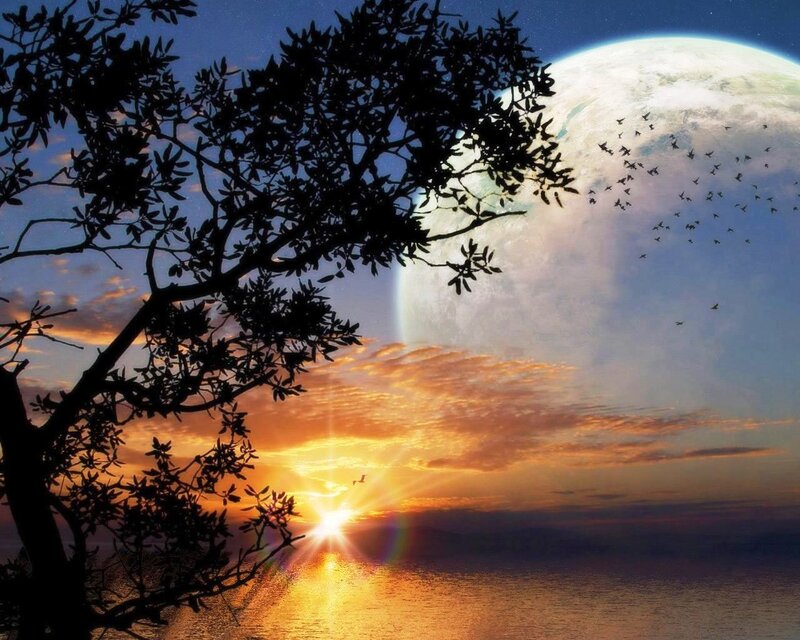 Sunset over Ocean — Orange, Serene, Digital Art, Tree