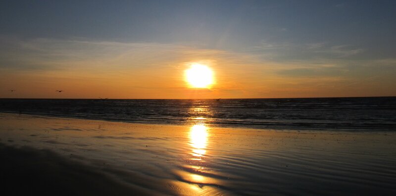 Sunset over Ocean — Orange, Serene, Photograph, Birds, Beach