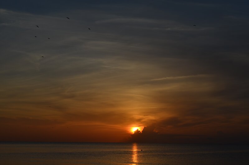Sunset over Ocean — Orange, Serene, Photograph, Birds, Clouds