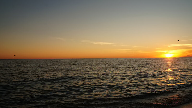 Sunset over Ocean — Orange, Serene, Photograph, Birds, Sun, Sea