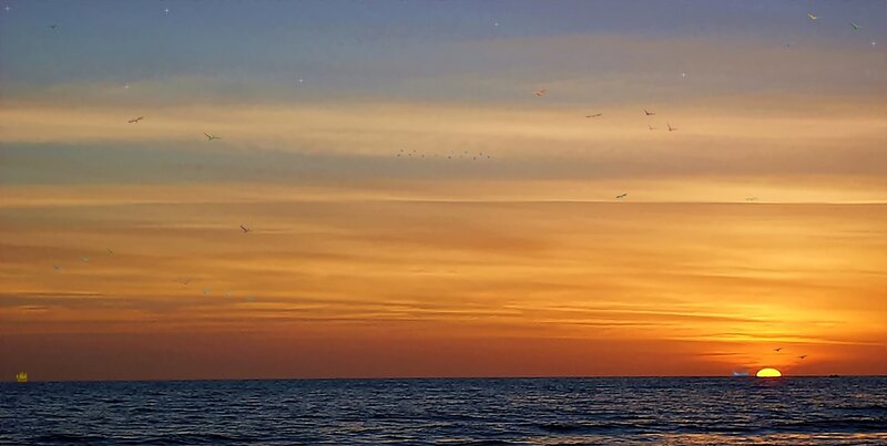 Sunset over Ocean — Orange, Serene, Photograph, Birds, Sun