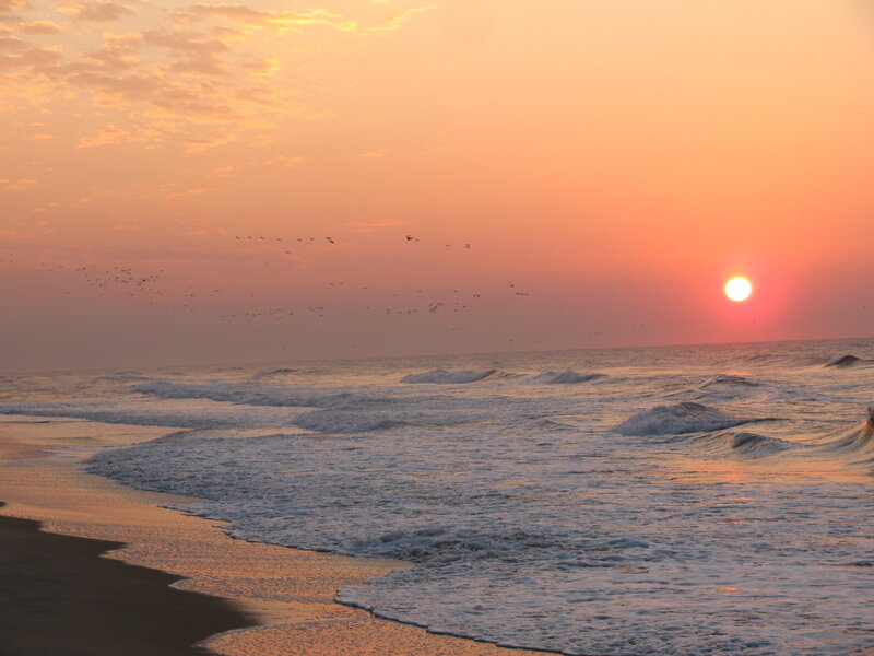 Sunset over Ocean — Orange, Serene, Photograph, Birds