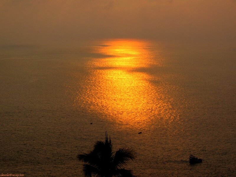Sunset over Ocean — Orange, Serene, Photograph, Boat, Palm Tree, Sun