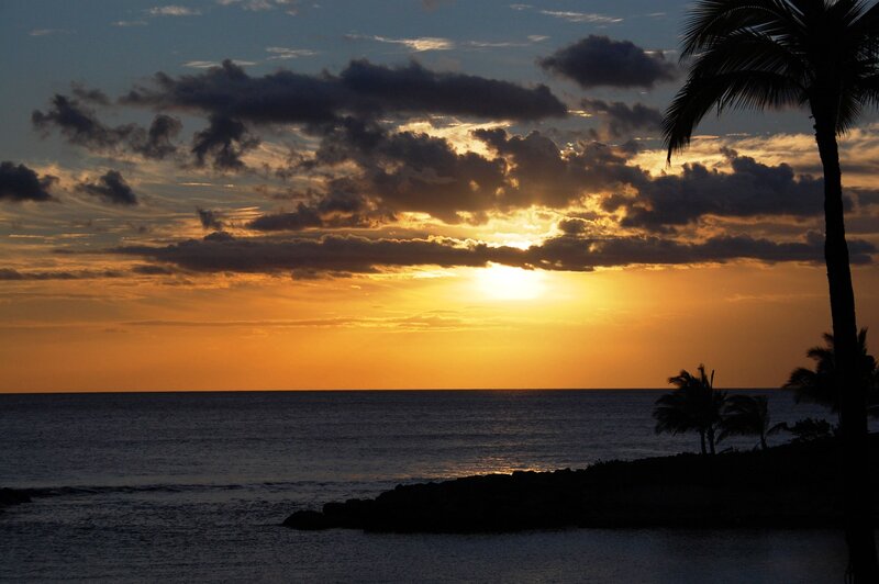 Sunset over Ocean — Orange, Serene, Photograph, Clouds, Palm Trees