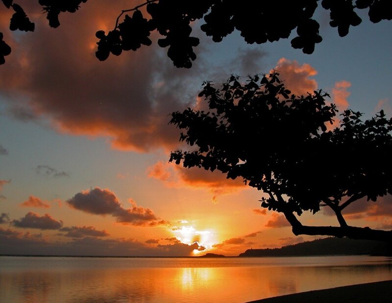 Sunset over Ocean — Orange, Serene, Photograph, Clouds, Tree