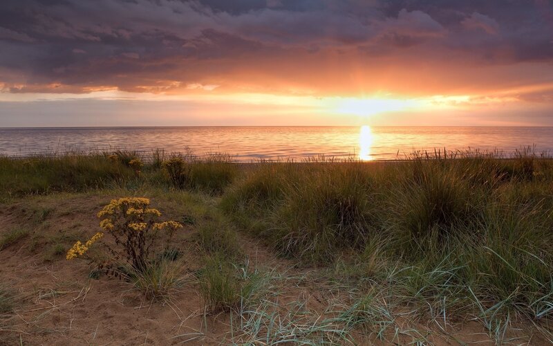 Sunset over Ocean — Orange, Serene, Photograph, Dune Grass