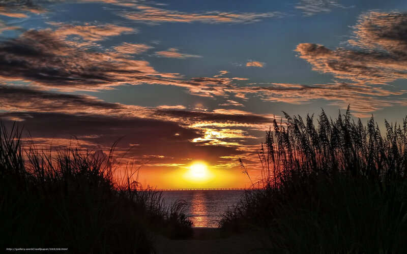 Sunset over Ocean — Orange, Serene, Photograph, Grass, Bridge