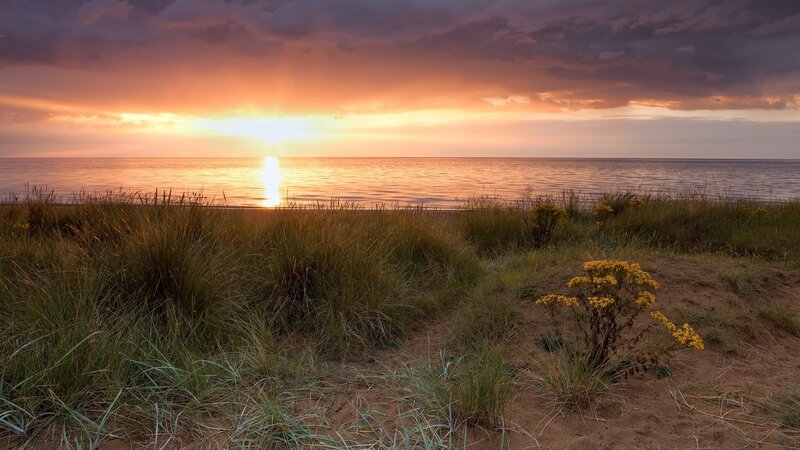 Sunset over Ocean — Orange, Serene, Photograph, Grass, Flowers