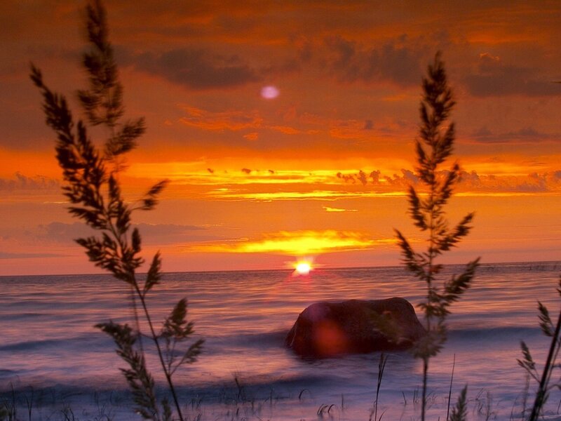 Sunset over Ocean — Orange, Serene, Photograph, Grass, Rock, Sun