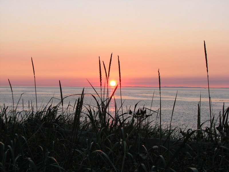 Sunset over Ocean — Orange, Serene, Photograph, Grass, Sea
