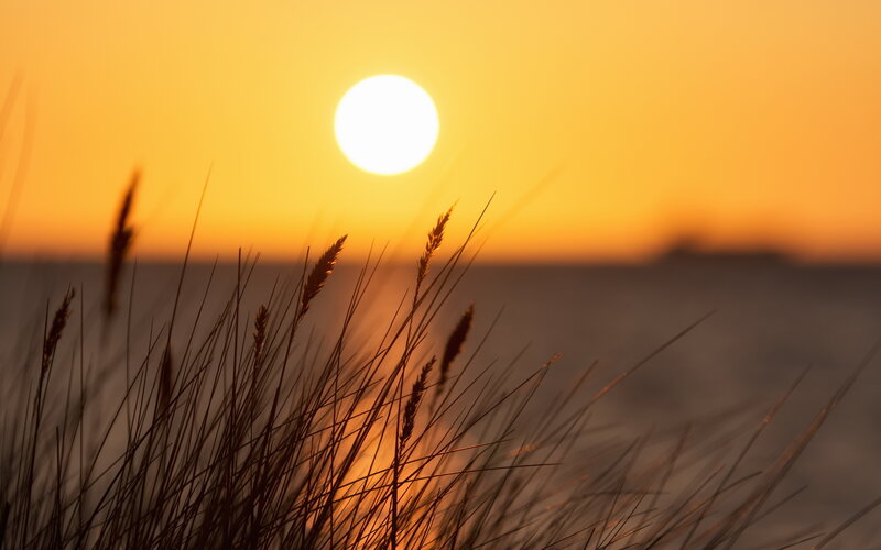 Sunset over Ocean — Orange, Serene, Photograph, Grass, Sun
