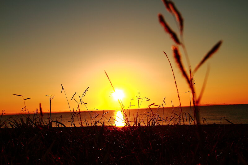 Sunset over Ocean — Orange, Serene, Photograph, Grass