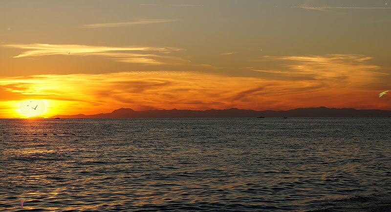 Sunset over Ocean — Orange, Serene, Photograph, Mountains, Birds