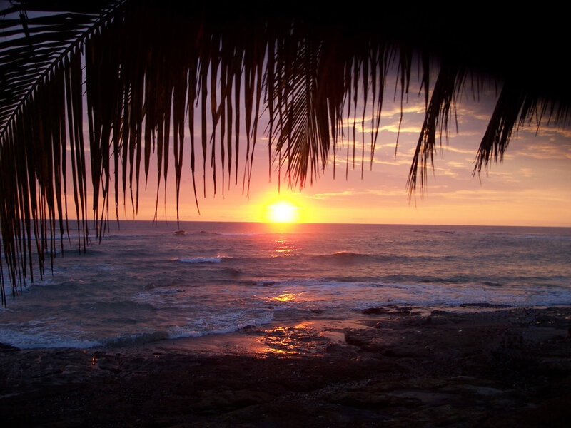 Sunset over Ocean — Orange, Serene, Photograph, Palm Fronds