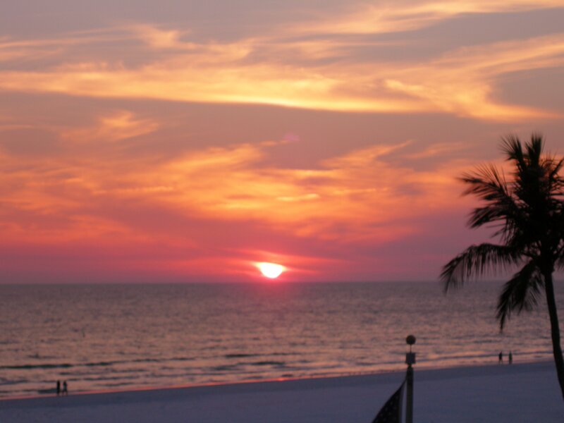 Sunset over Ocean — Orange, Serene, Photograph, Palm Tree, Beach