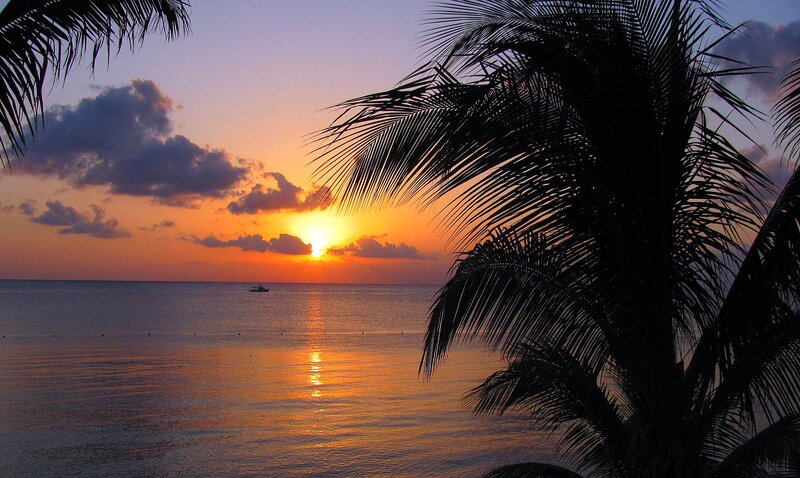 Sunset over Ocean — Orange, Serene, Photograph, Palm Tree, Boat