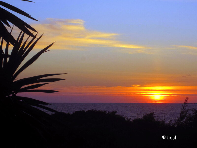 Sunset over Ocean — Orange, Serene, Photograph, Palm Tree, Clouds, Sea