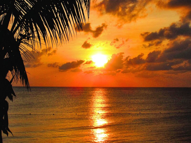 Sunset over Ocean — Orange, Serene, Photograph, Palm Tree, Clouds, Sun