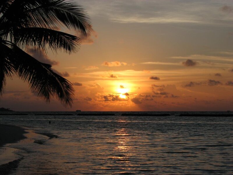 Sunset over Ocean — Orange, Serene, Photograph, Palm Tree, Sky