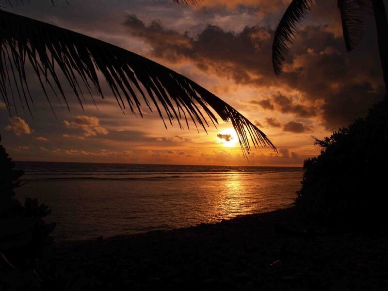 Sunset over Ocean — Orange, Serene, Photograph, Palm Tree