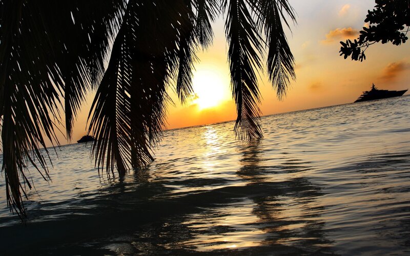 Sunset over Ocean — Orange, Serene, Photograph, Palm Trees, Boats, Sky, Yellow
