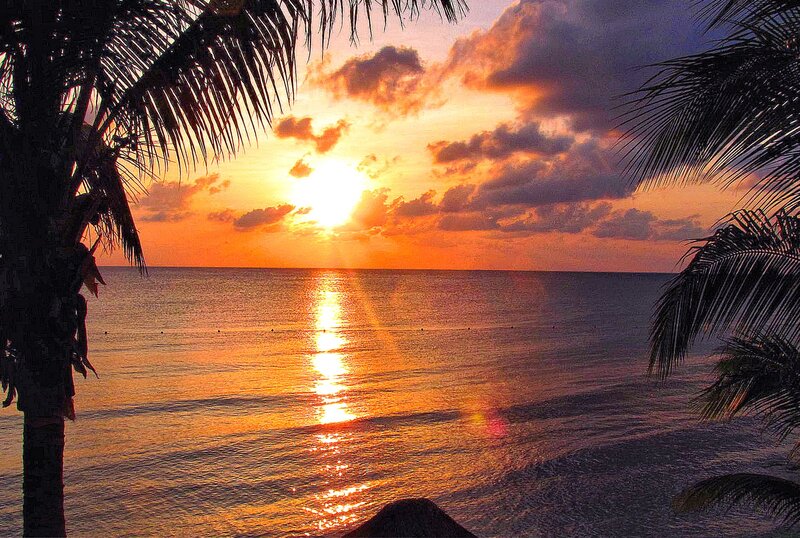 Sunset over Ocean — Orange, Serene, Photograph, Palm Trees, Clouds, Sun