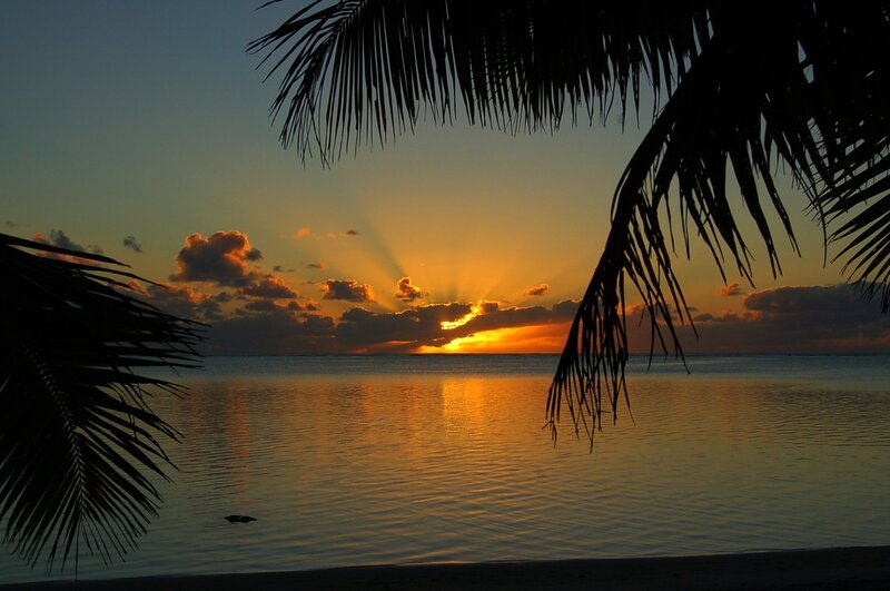 Sunset over Ocean — Orange, Serene, Photograph, Palm Trees, Clouds