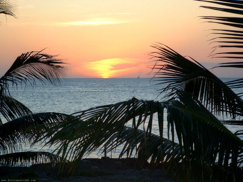 Sunset over Ocean — Orange, Serene, Photograph, Palm Trees, Sky
