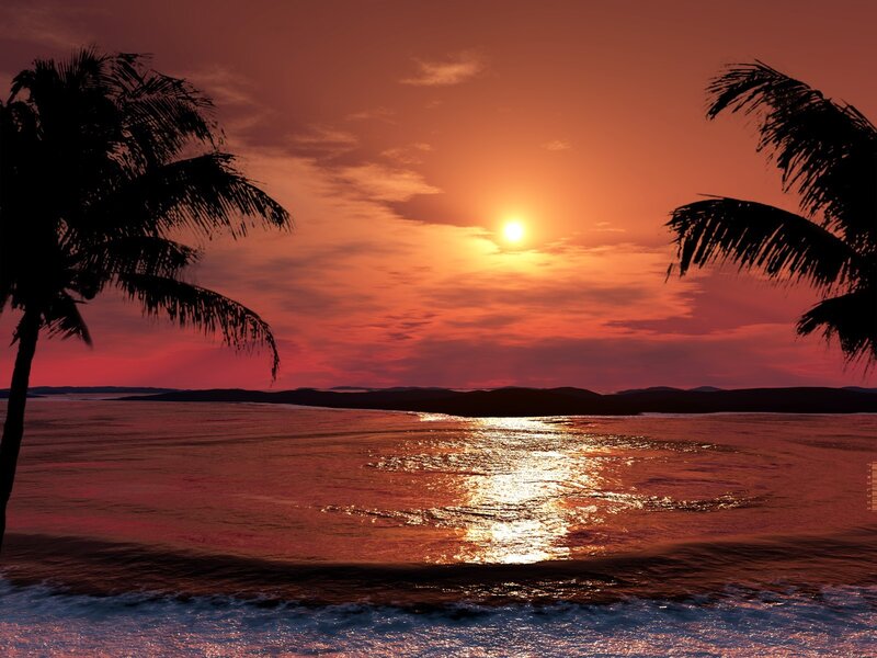 Sunset over Ocean — Orange, Serene, Photograph, Palm Trees, Sun, Island, Red