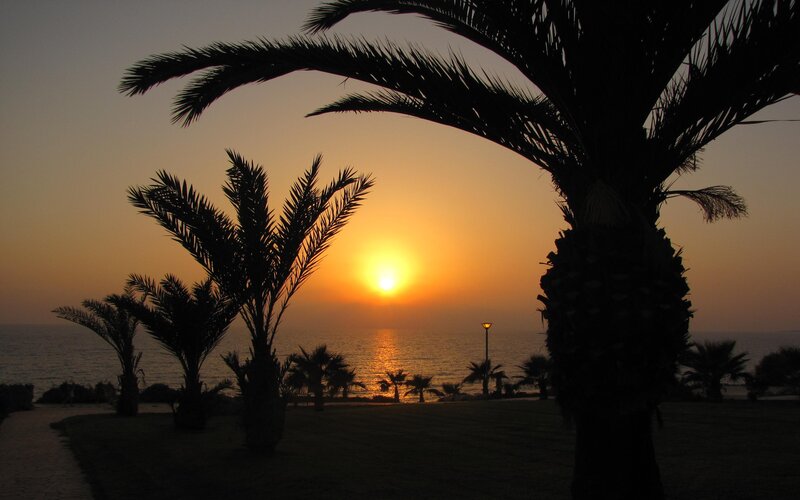Sunset over Ocean — Orange, Serene, Photograph, Palm Trees