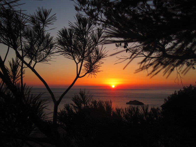 Sunset over Ocean — Orange, Serene, Photograph, Pine Trees, Island