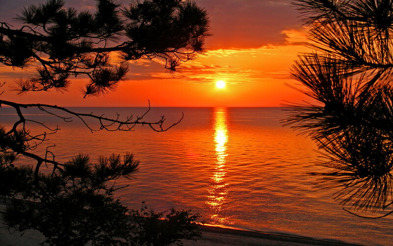 Sunset over Ocean — Orange, Serene, Photograph, Pine Trees, Sun