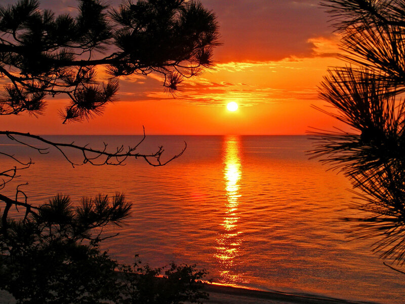 Sunset over Ocean — Orange, Serene, Photograph, Pine Trees, Sun, Water