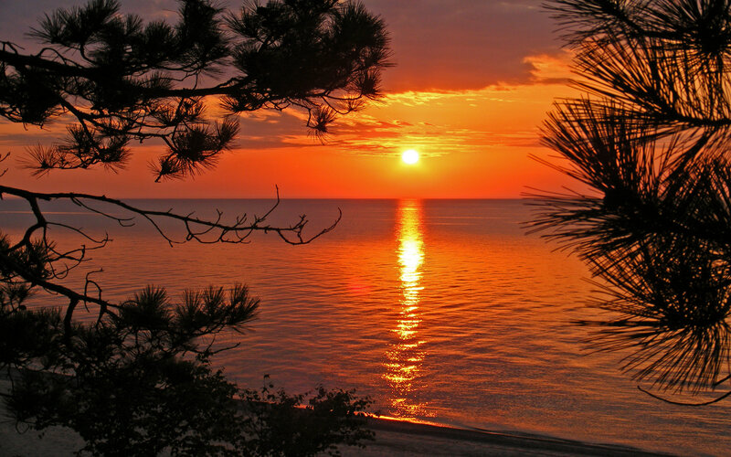 Sunset over Ocean — Orange, Serene, Photograph, Pine Trees