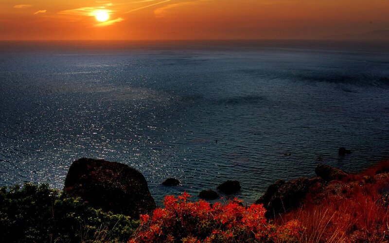 Sunset over Ocean — Orange, Serene, Photograph, Rocks, Flowers