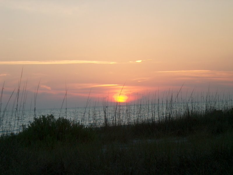 Sunset over Ocean — Orange, Serene, Photograph, Sky, Grass
