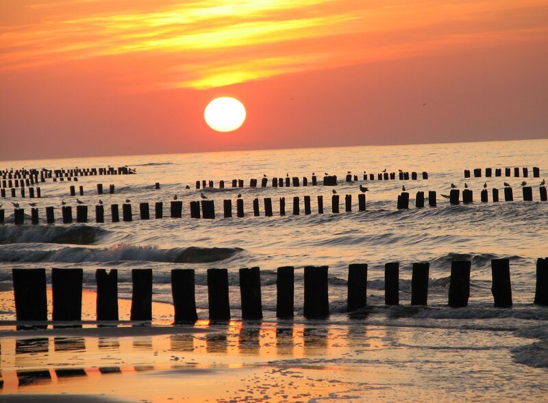 Sunset over Ocean — Orange, Serene, Photograph, Sun, Birds