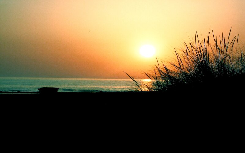 Sunset over Ocean — Orange, Serene, Photograph, Sun, Dune Grass