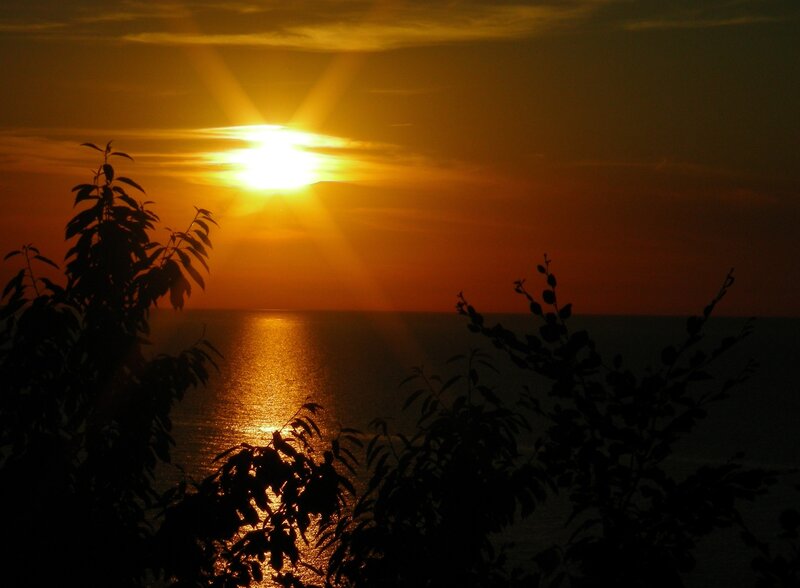 Sunset over Ocean — Orange, Serene, Photograph, Sun, Trees