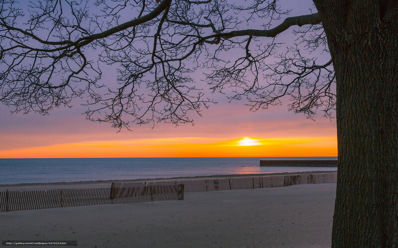Sunset over Ocean — Orange, Serene, Photograph, Tree, Beach