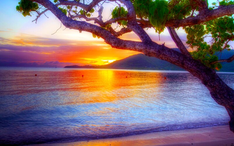 Sunset over Ocean — Orange, Serene, Photograph, Tree Branch