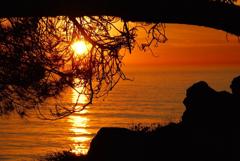 Sunset over Ocean — Orange, Serene, Photograph, Tree Branches, Rocks