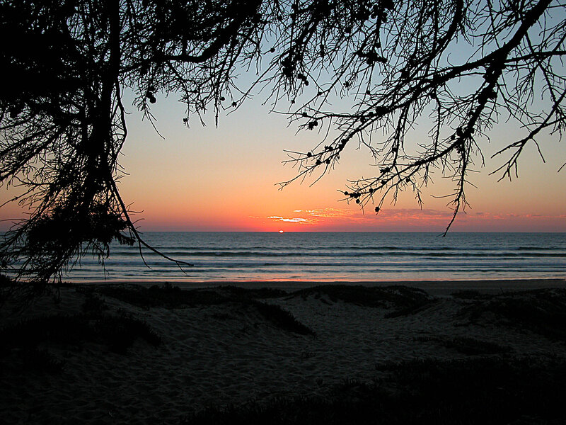 Sunset over Ocean — Orange, Serene, Photograph, Tree Branches